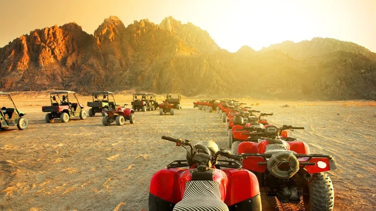 QUAD SAFARI